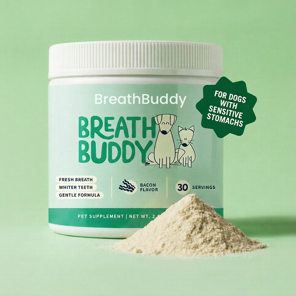 Daily Dental Powder for Fresh Breath & Clean Teeth