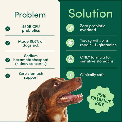 Daily Dental Powder for Fresh Breath & Clean Teeth